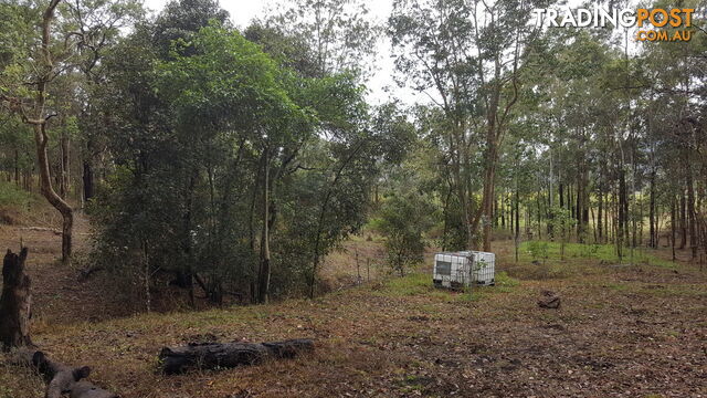 Lot 166 Woods Road DOWS CREEK QLD 4754