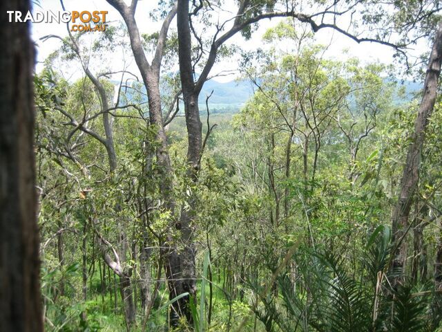 Lot 166 Woods Road DOWS CREEK QLD 4754