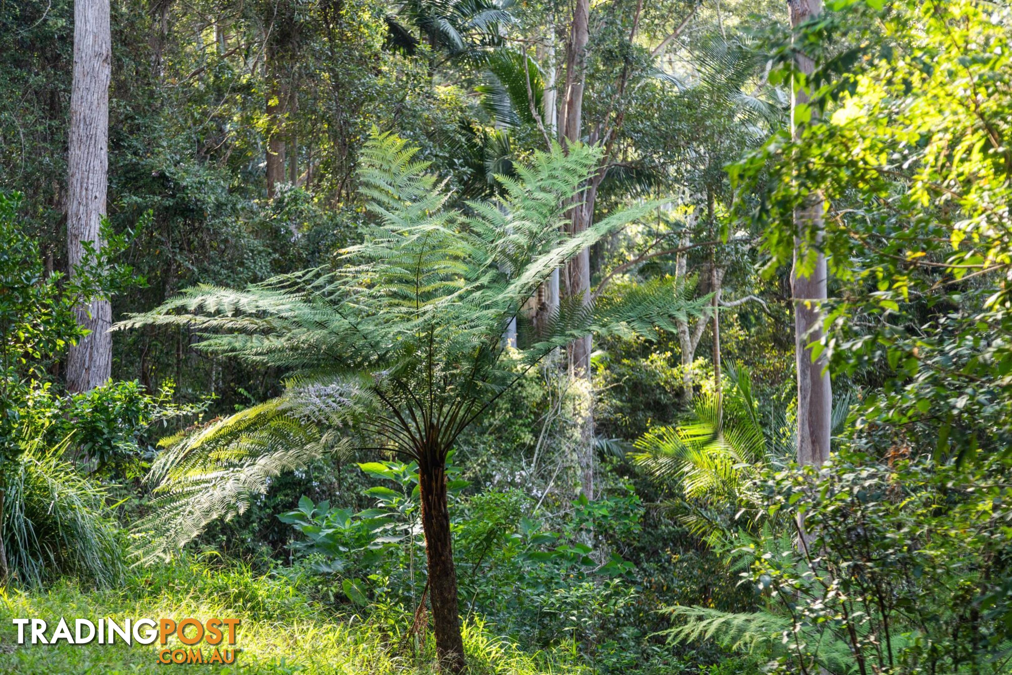 140 Browns Road YARRAHAPINNI NSW 2441