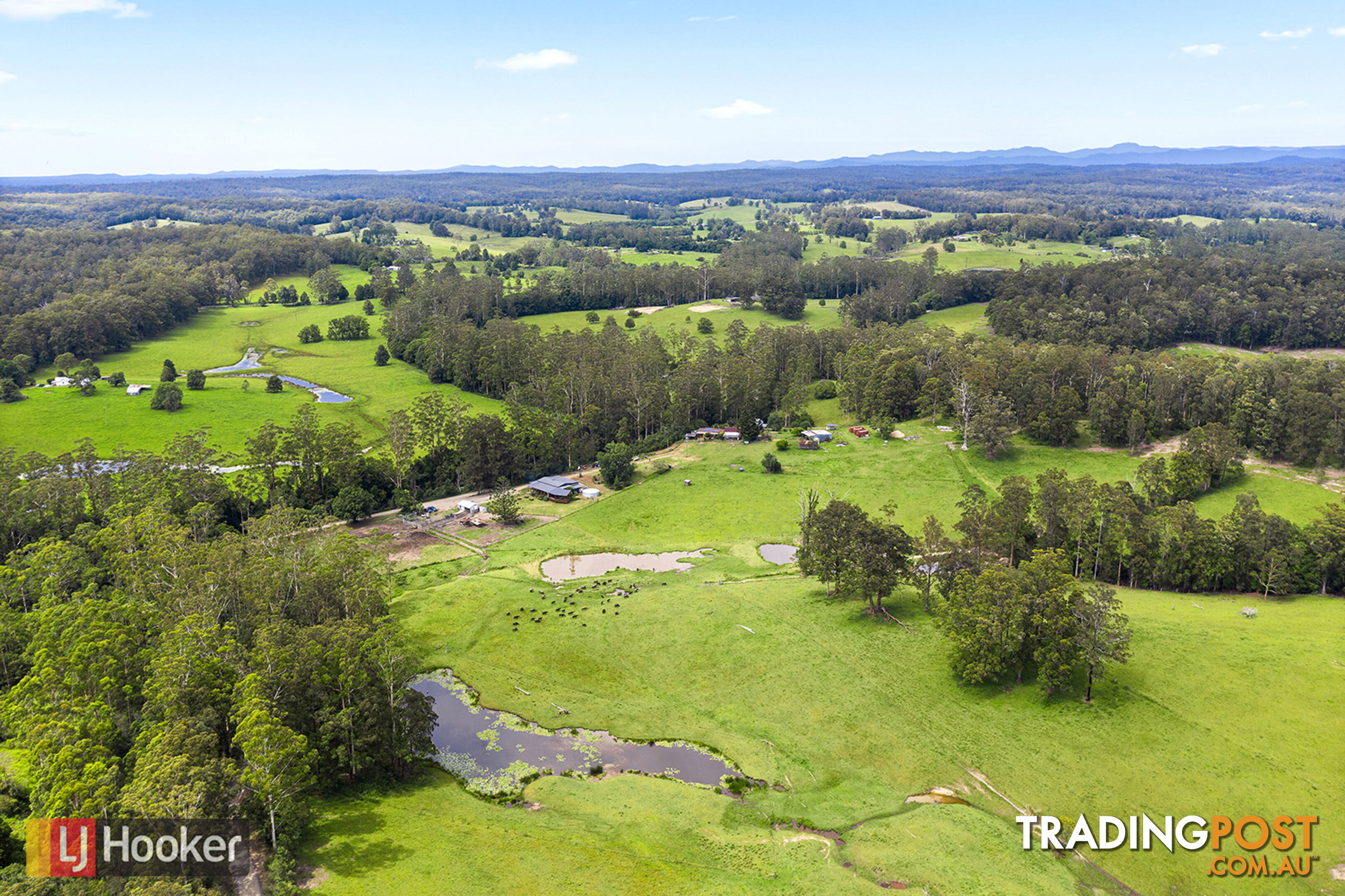 50 Elliots Road EUNGAI CREEK NSW 2441