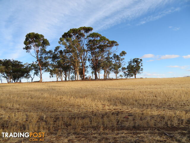 10352 Cunderdin-Quairading Road CUNDERDIN WA 6407