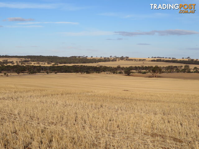 10352 Cunderdin-Quairading Road CUNDERDIN WA 6407