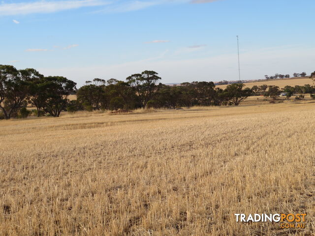 10352 Cunderdin-Quairading Road CUNDERDIN WA 6407