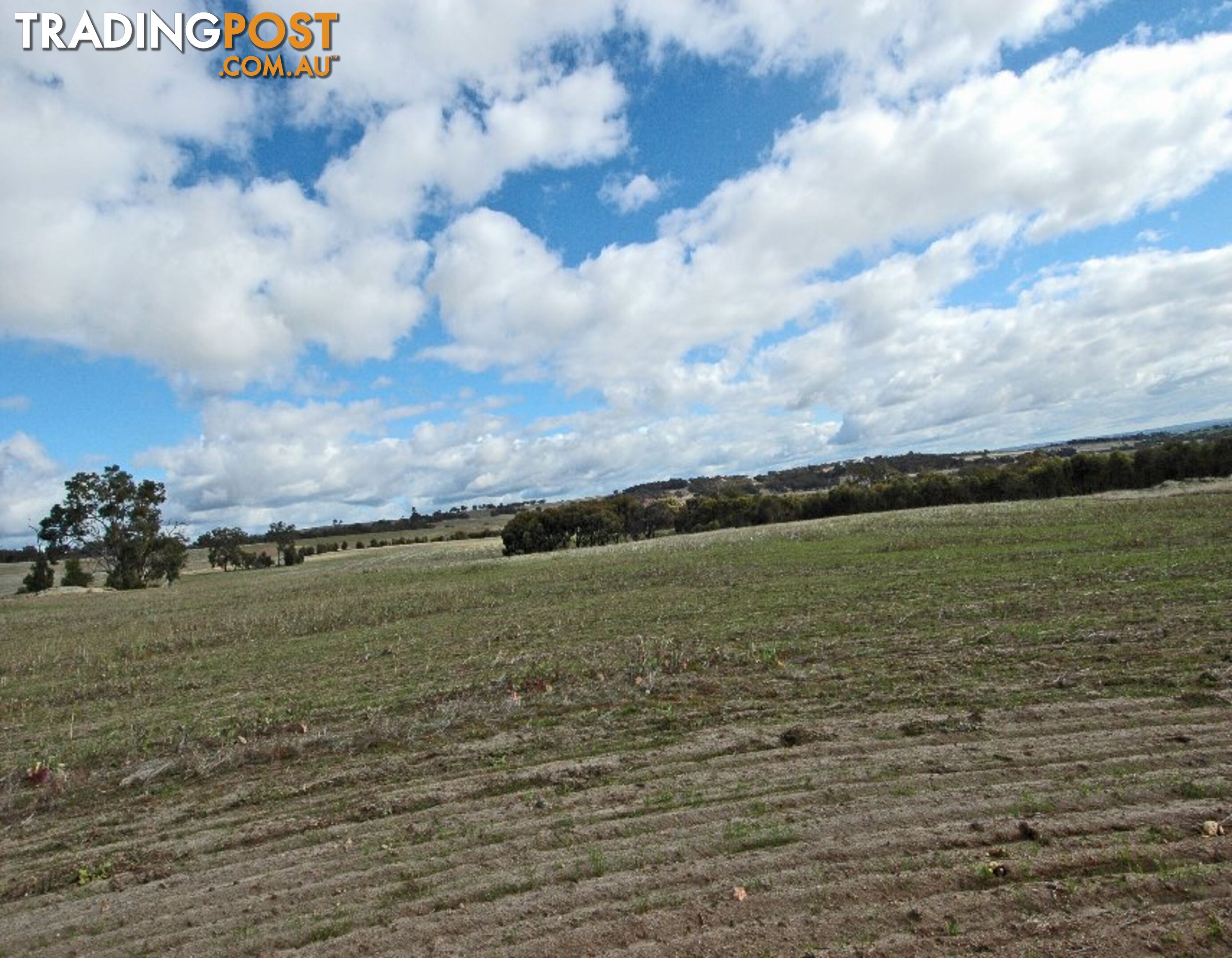 3 BARTRAM BROOKTON WA 6306