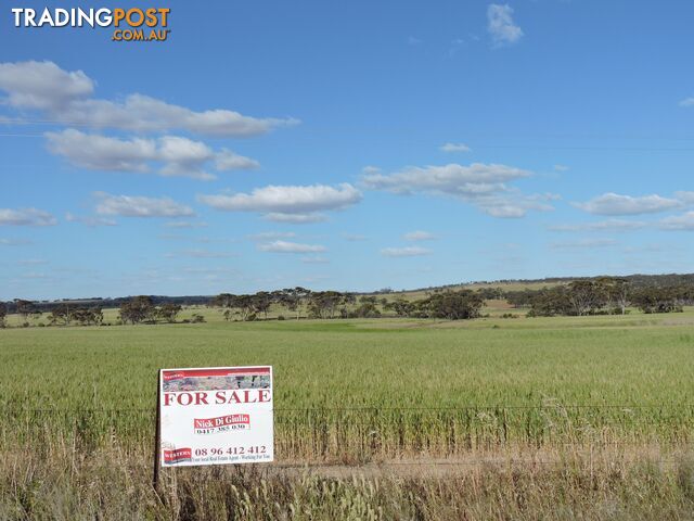 6631 CUNDERDIN-QUAIRADING ROAD YOUNDEGIN WA 6407