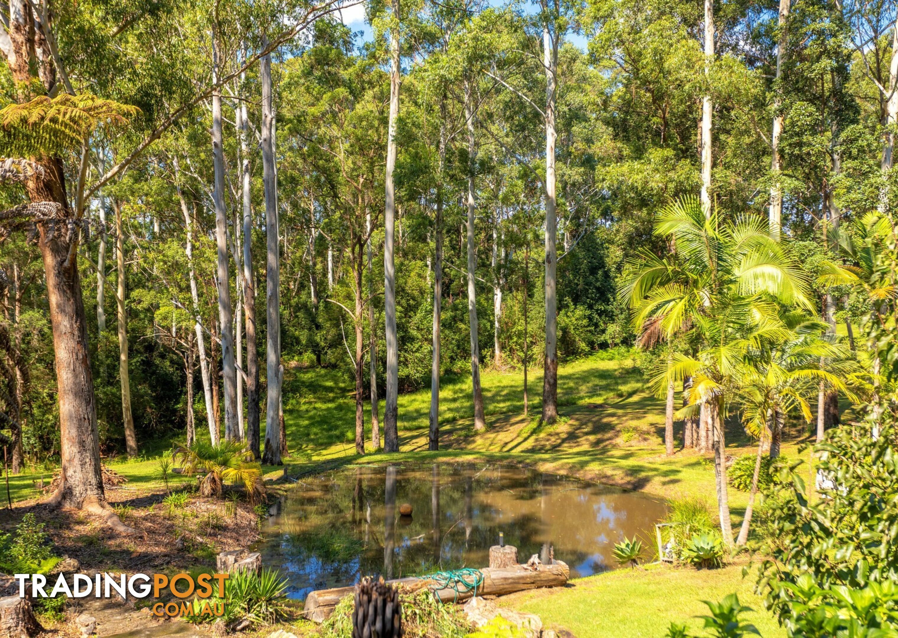 285 Riddles Brush Road JOHNS RIVER NSW 2443