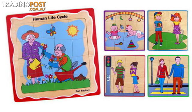 Development 5 Stage Puzzle-Human Life Cycle - ETL0028