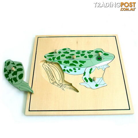 Frog & skeleton Puzzle - BO50176.506250