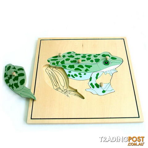 Frog & skeleton Puzzle - BO50176.506250