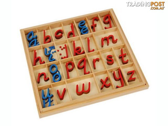 Movable Alphabet Small D'Nealian RcBv (No Box) - LA49900