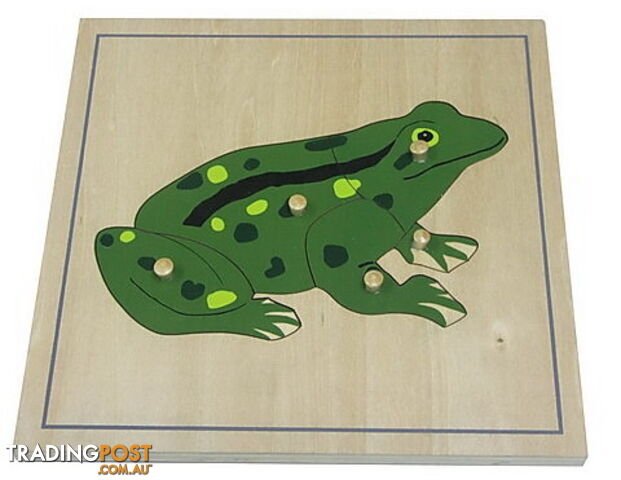 Frog Puzzle - BO010.506200