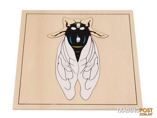 Fly Puzzle - BO025.506840