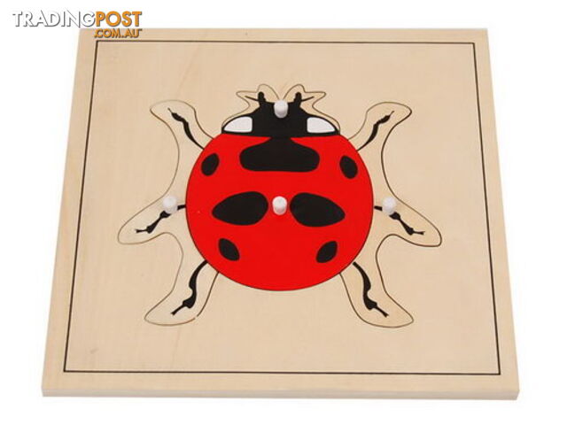 Ladybug Puzzle - BO022.506830