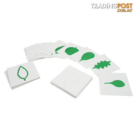 Leaf Cards - BO014.500200