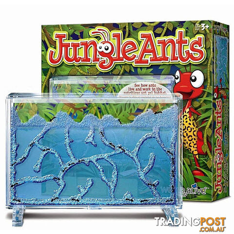 Jungle Ants - ETM4100