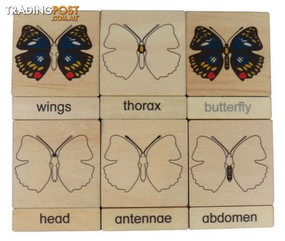 Classification 3 Part Timber Cards - Butterfly Parts - LA46430
