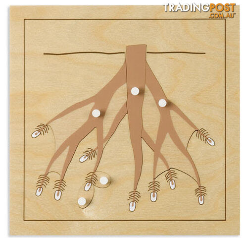 Roots Puzzle - BO037