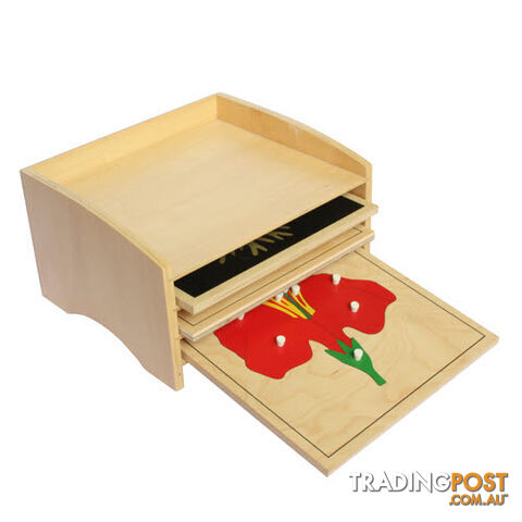 Botany  Cabinet with 3 Puzzles, Tree, Leaf, Flower - BO001.505500