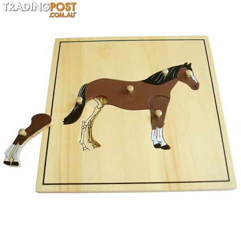 Horse & Skeleton Puzzle - BO50173.506150
