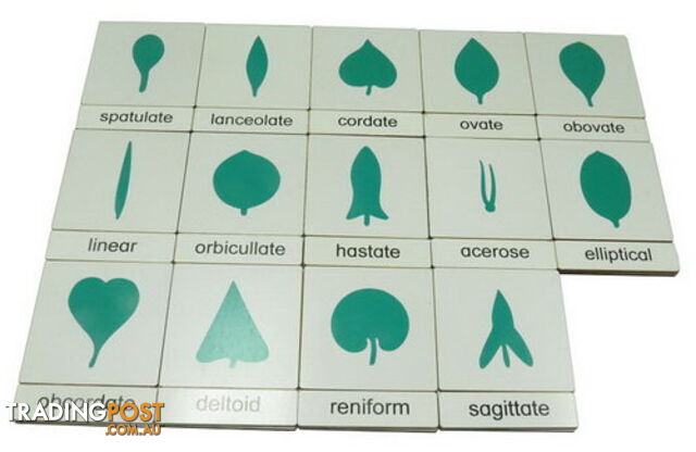 Classification 3 Part Timber Cards - Botany - LA46414