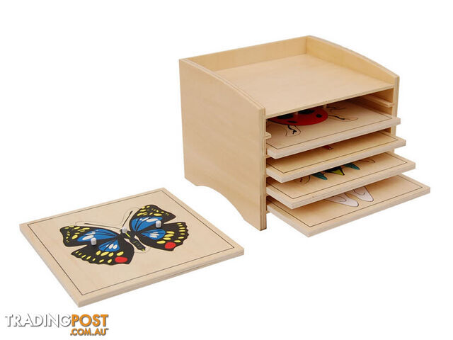 Insect Puzzle Cabinet wth 5 Puzzles - BO003-1.506800