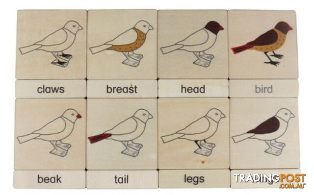 Classification 3 Part Timber Cards - Bird Parts - LA46427