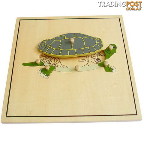 Turtle & Skeleton Puzzle, - BO50170.506450