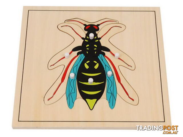 Wasp Puzzle - BO023.506825