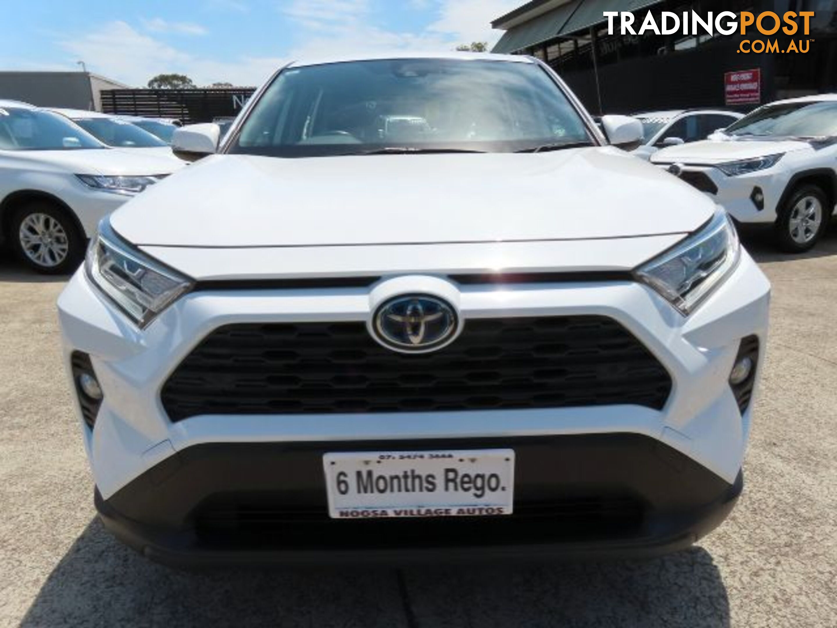 2021 TOYOTA RAV4 GX-HYBRID-AXAH52R  WAGON