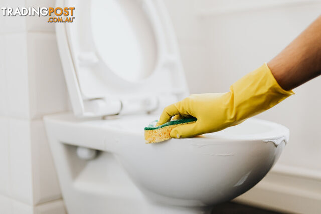COVID-19 Disinfecting and Sanitization, - photo 4 of 5