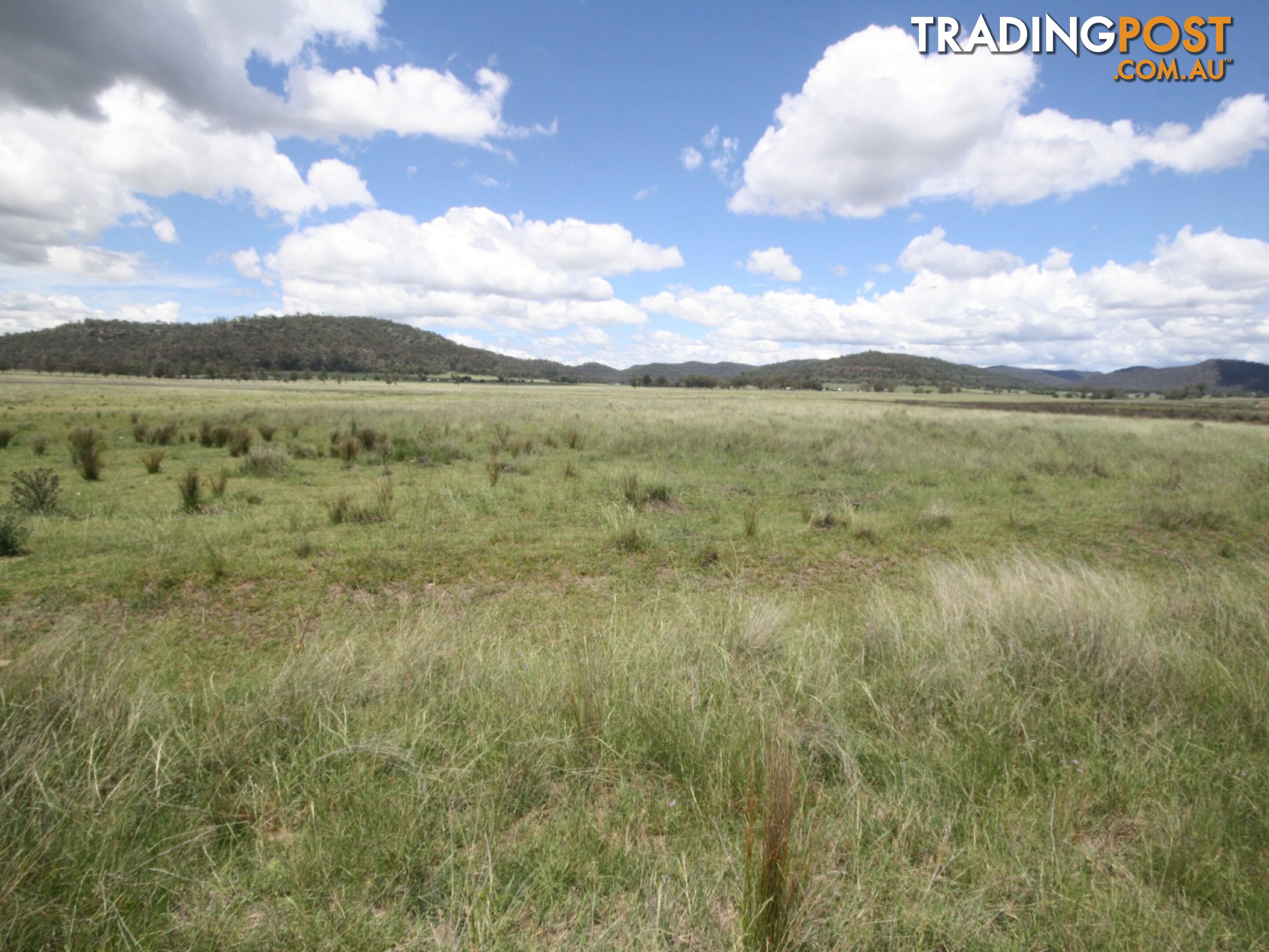 Lot 173 Kings Creek YARRAWA NSW 2328