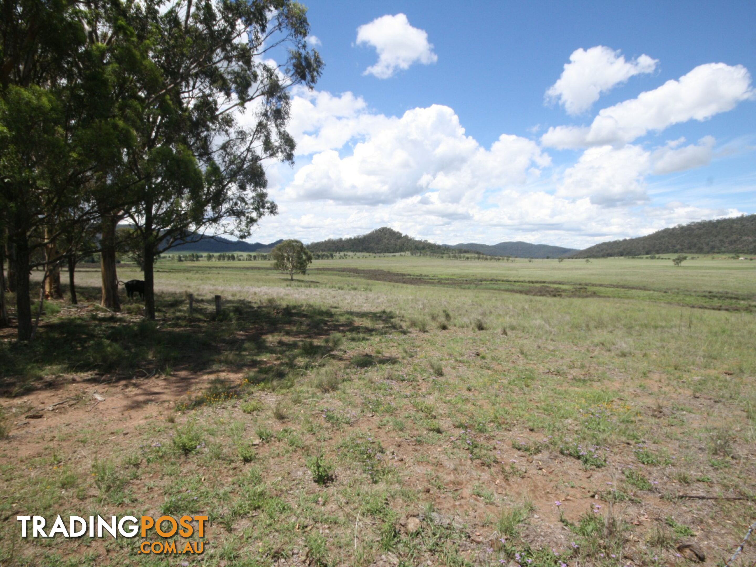 Lot 173 Kings Creek YARRAWA NSW 2328