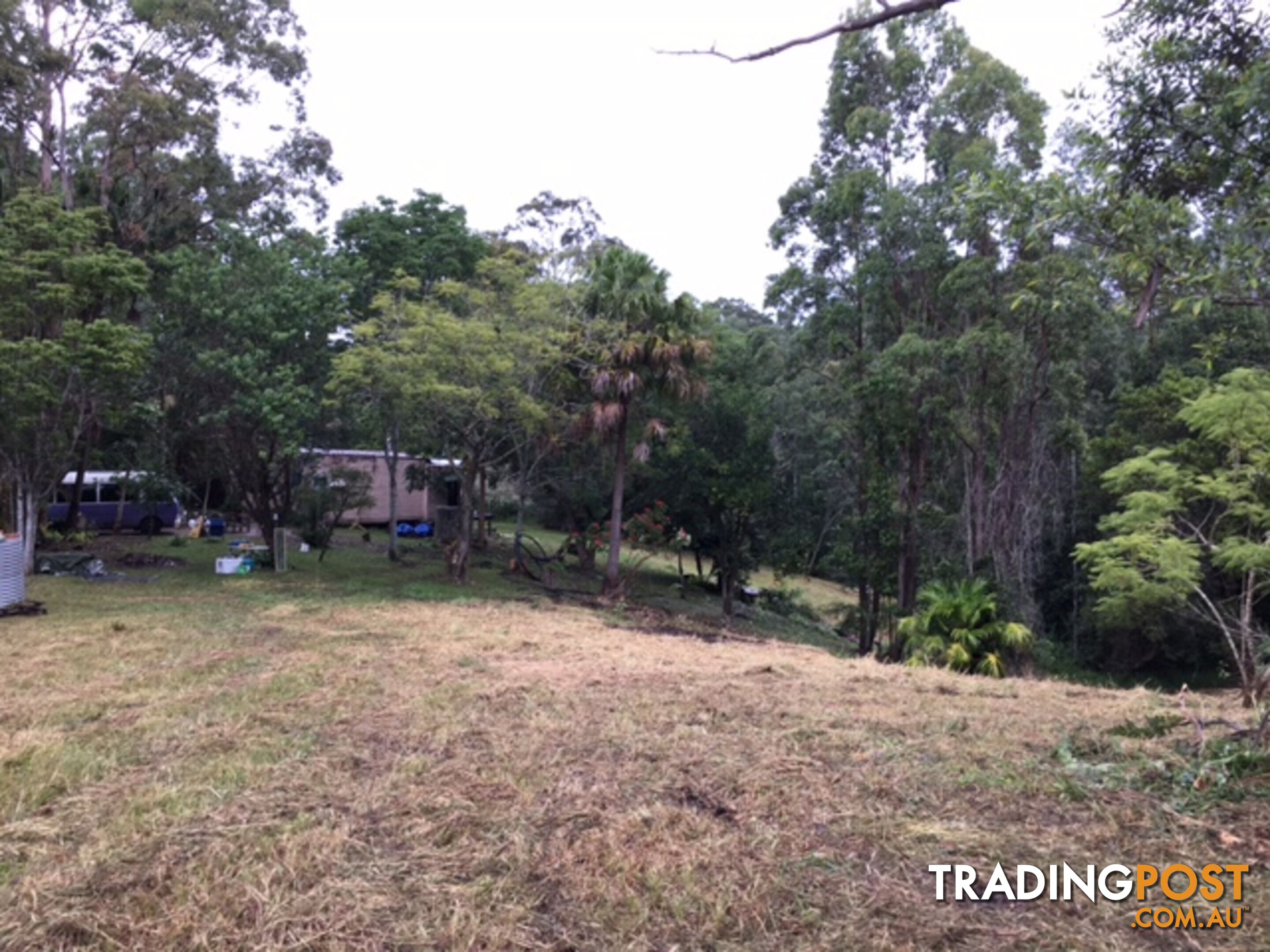 115 Millers Road NEWEE CREEK NSW 2447