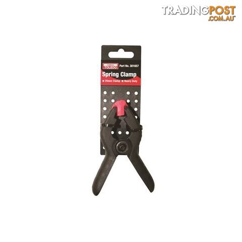 Spring Clamp - 25mm Toledo 301657