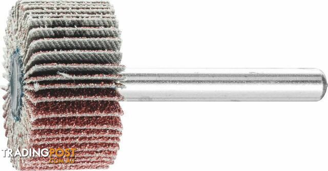 Fan Grinder 6mm Shank 30 x 15 mm 60g Aluminium Oxide Pferd 44409066