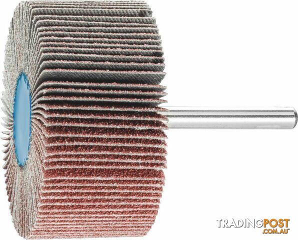 Fan Grinder 6mm Shank 60g 60 x 30mm Aluminium Oxide Pferd 44509066