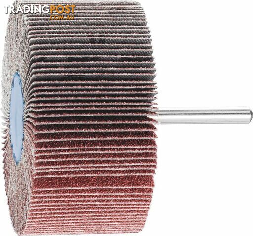 Fan Grinder 6mm Shank 60g 80 x 40mm Aluminum Oxide Pferd 44515066