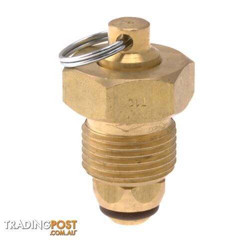 Blanking Plug Brass Tesuco