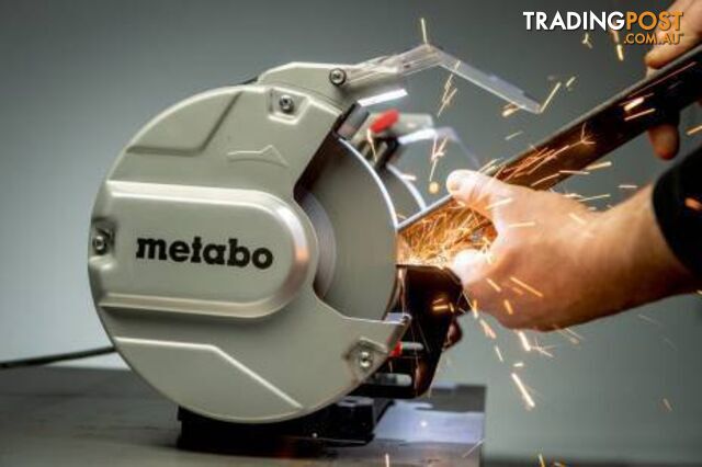 DS 200 Plus Bench Grinder Metabo 604200000 - photo 4 of 6