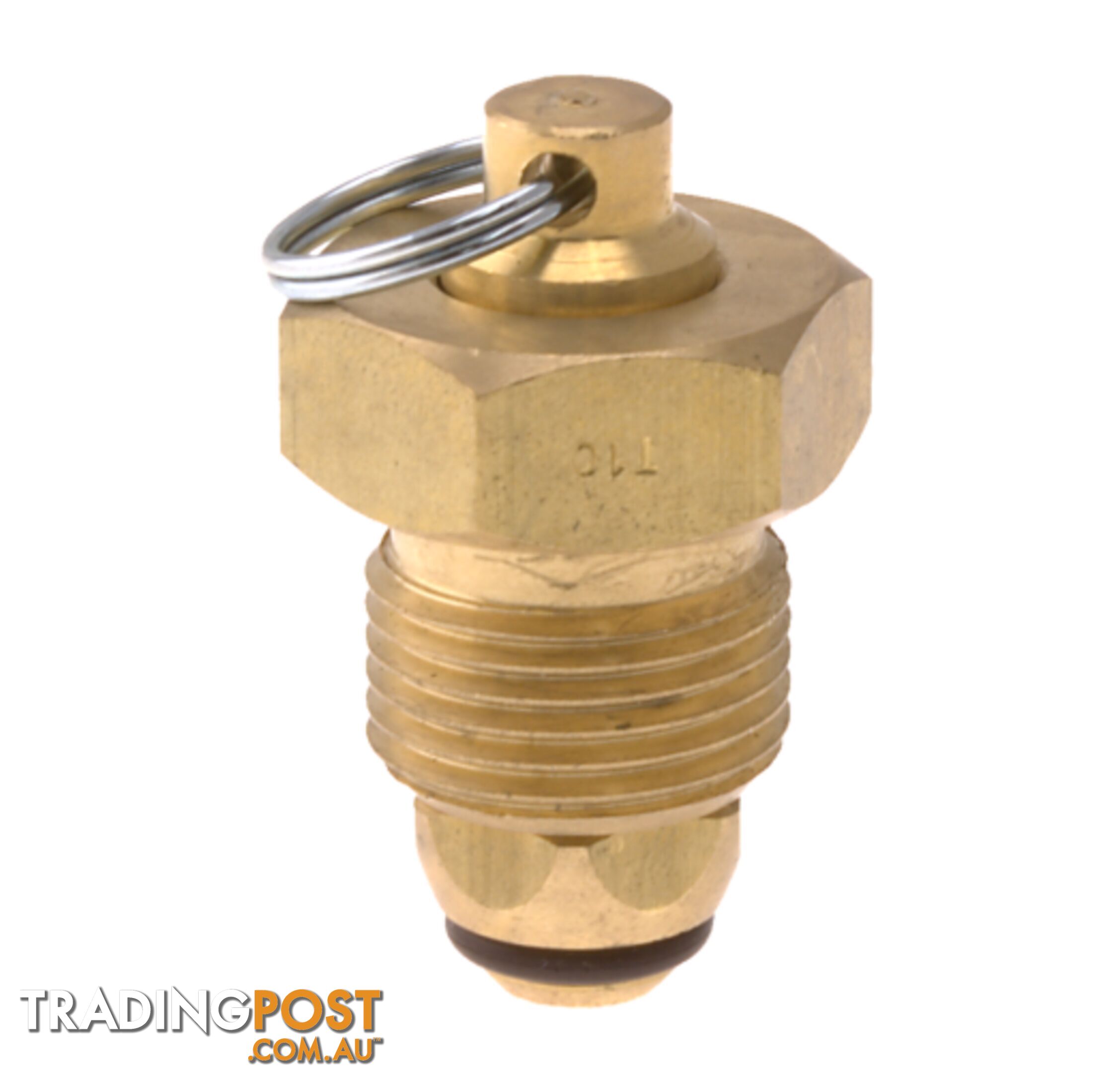 Blanking Plug Brass Tesuco