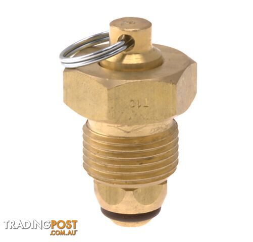 Blanking Plug Brass Tesuco