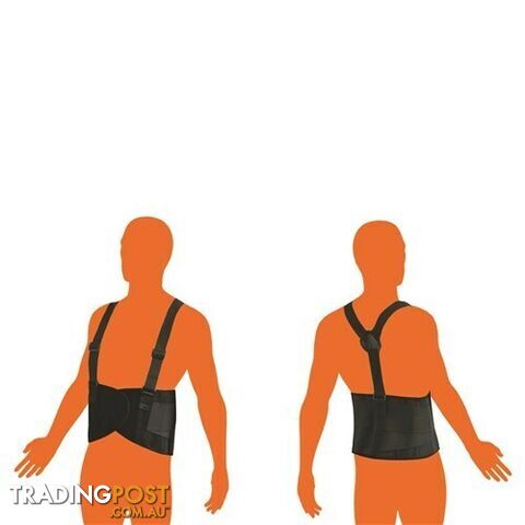 ProChoice Back Support Belt BB