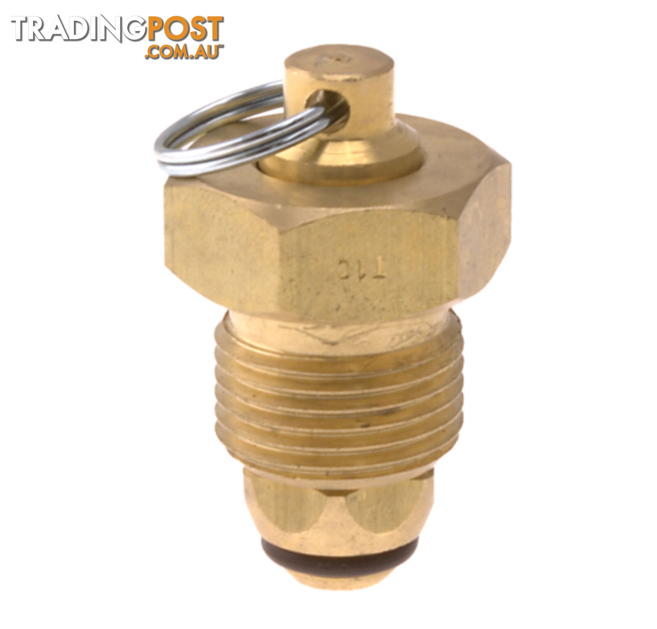 Blanking Plug Brass Tesuco