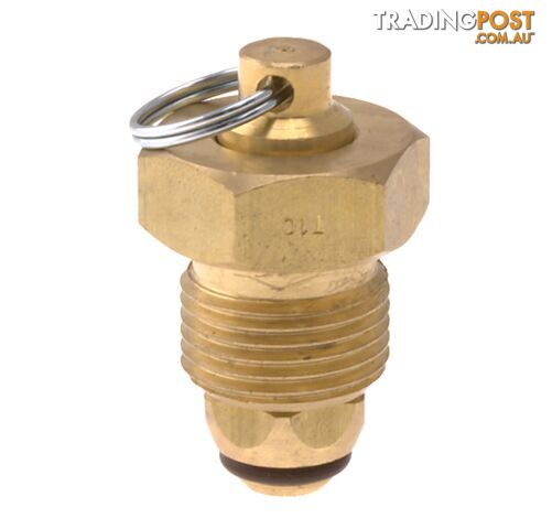 Blanking Plug Brass Tesuco