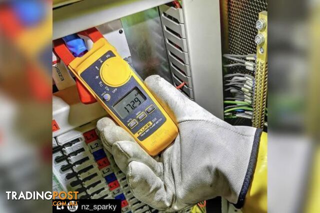 True RMS Clamp Meter 400A AC/DC, 600V TRMS FREQ. W/TEMP, MIN/MAX FLU325 - photo 4 of 4
