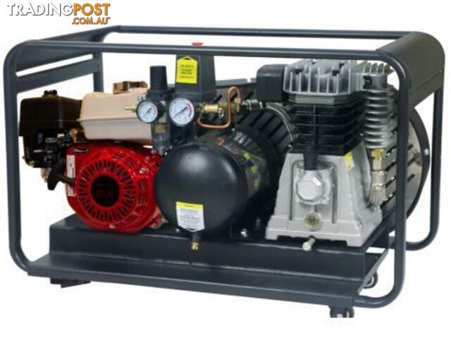 Air Compressor Petrol Roll Cage PEERLESS BLACK 17000 (PB17000PR)