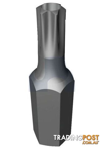 Plain Finish Security Socket Bit Post Torx Hobson