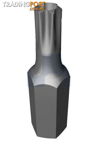 Plain Finish Security Socket Bit Post Torx Hobson