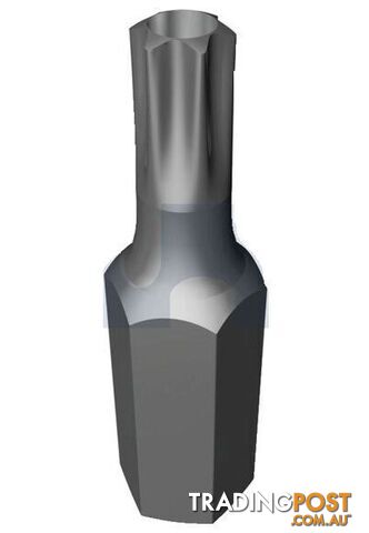 Plain Finish Security Socket Bit Post Torx Hobson