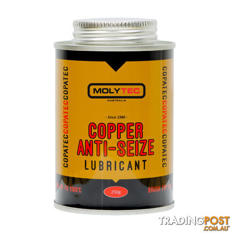 Copatec Anti-Seize 250g Brush Top Tin M804-12 Box of 12